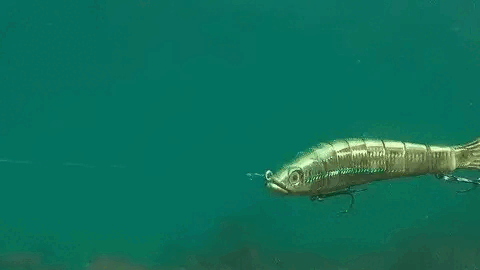 9.5" Motion Minnow Swimbait Fishing Lure