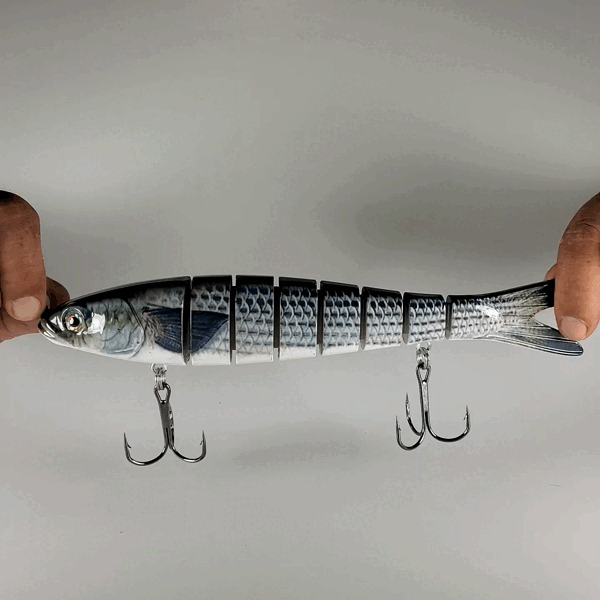 Motion Minnow Mullet Gif