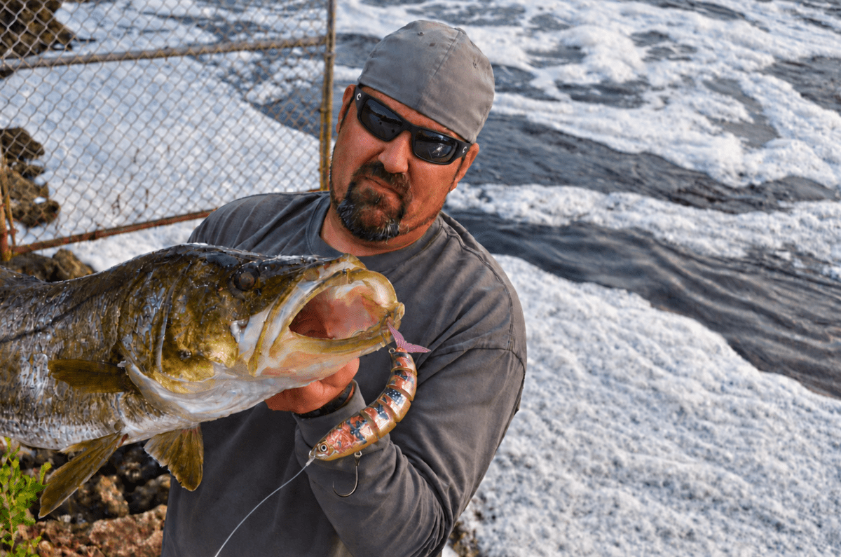 Capt. Carlos holding a large snook caught at a South Florida spillway on a Marea swimbait