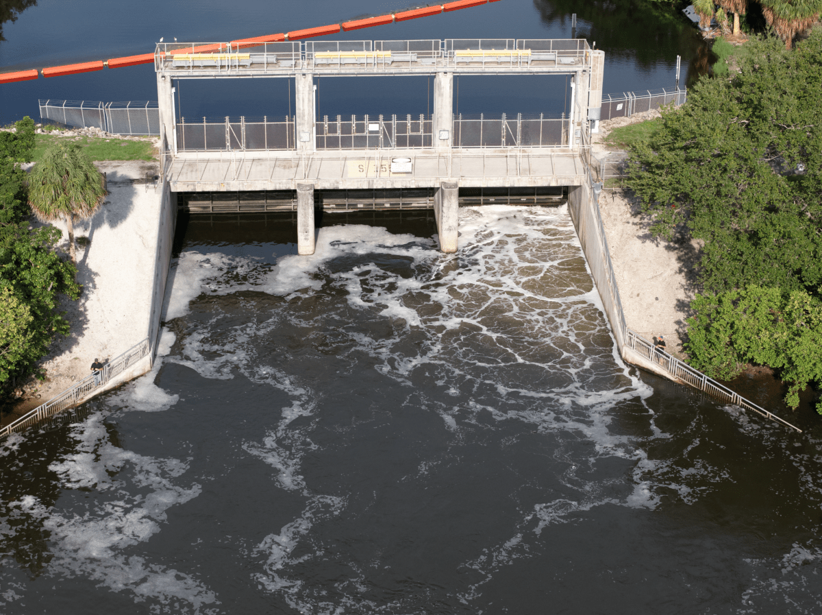 Florida Spillway Fishing: The Complete Guide to Catching Snook, Tarpon & Bass Below the Gates