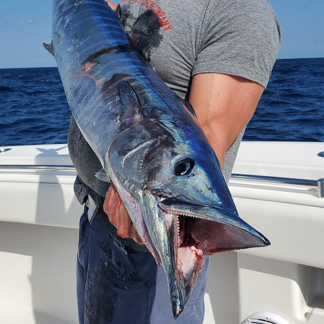 Top 6 trolling tips for putting more Wahoo in the box - Marea Fishing