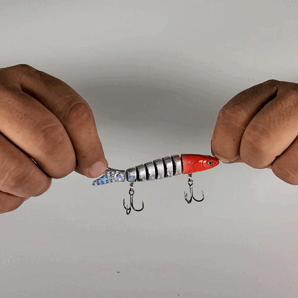 Motion Minnow Swimbaits