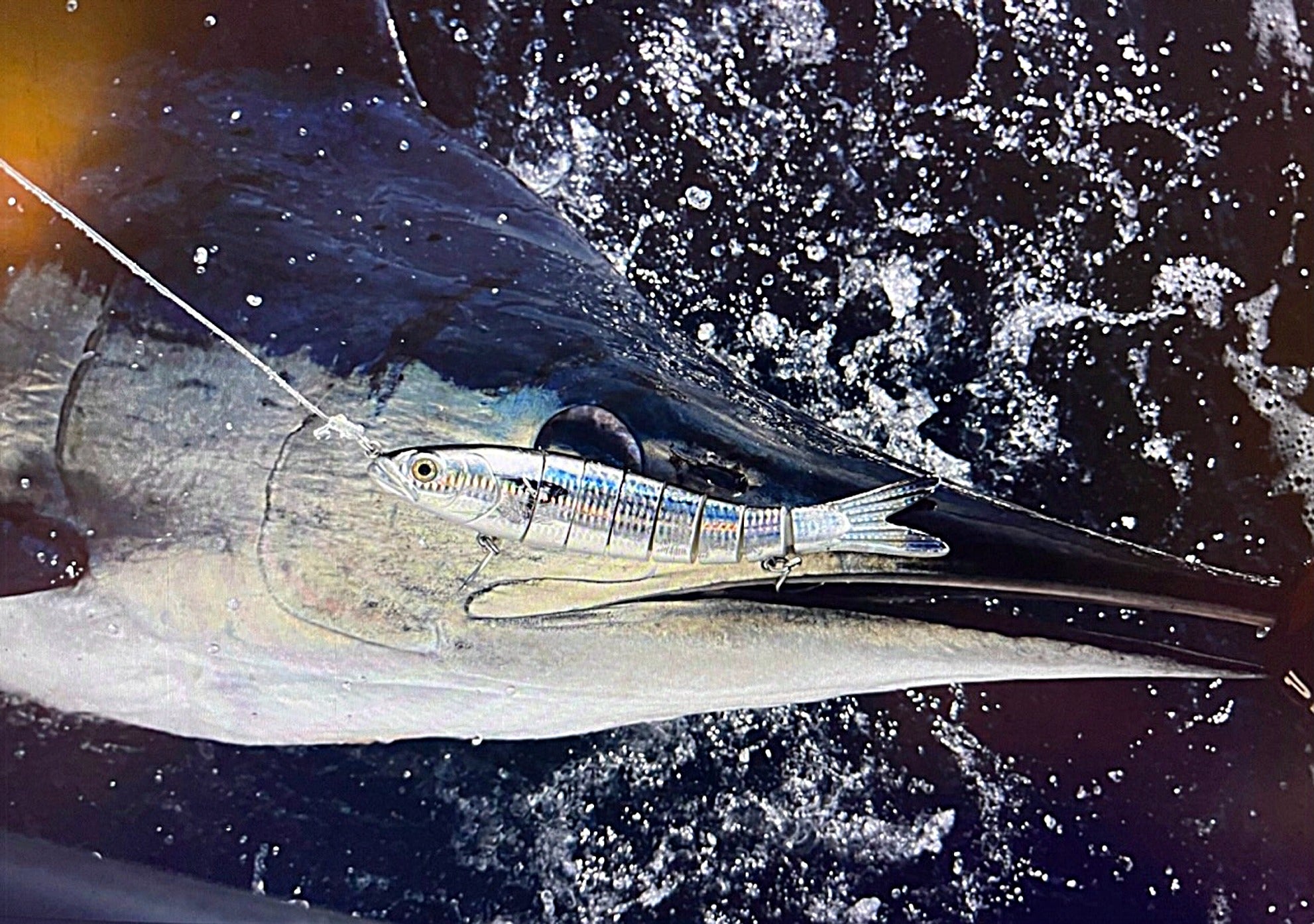 striped marlin caught on Motion Minnow