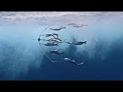 MEGA Motion Fishing Dredges with 18 Baitfish | Collapsible