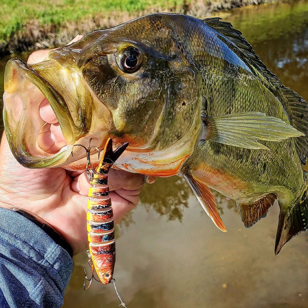 Peacock Bass Urban Assault Fishing Lure Kit (8pc) | Freshwater